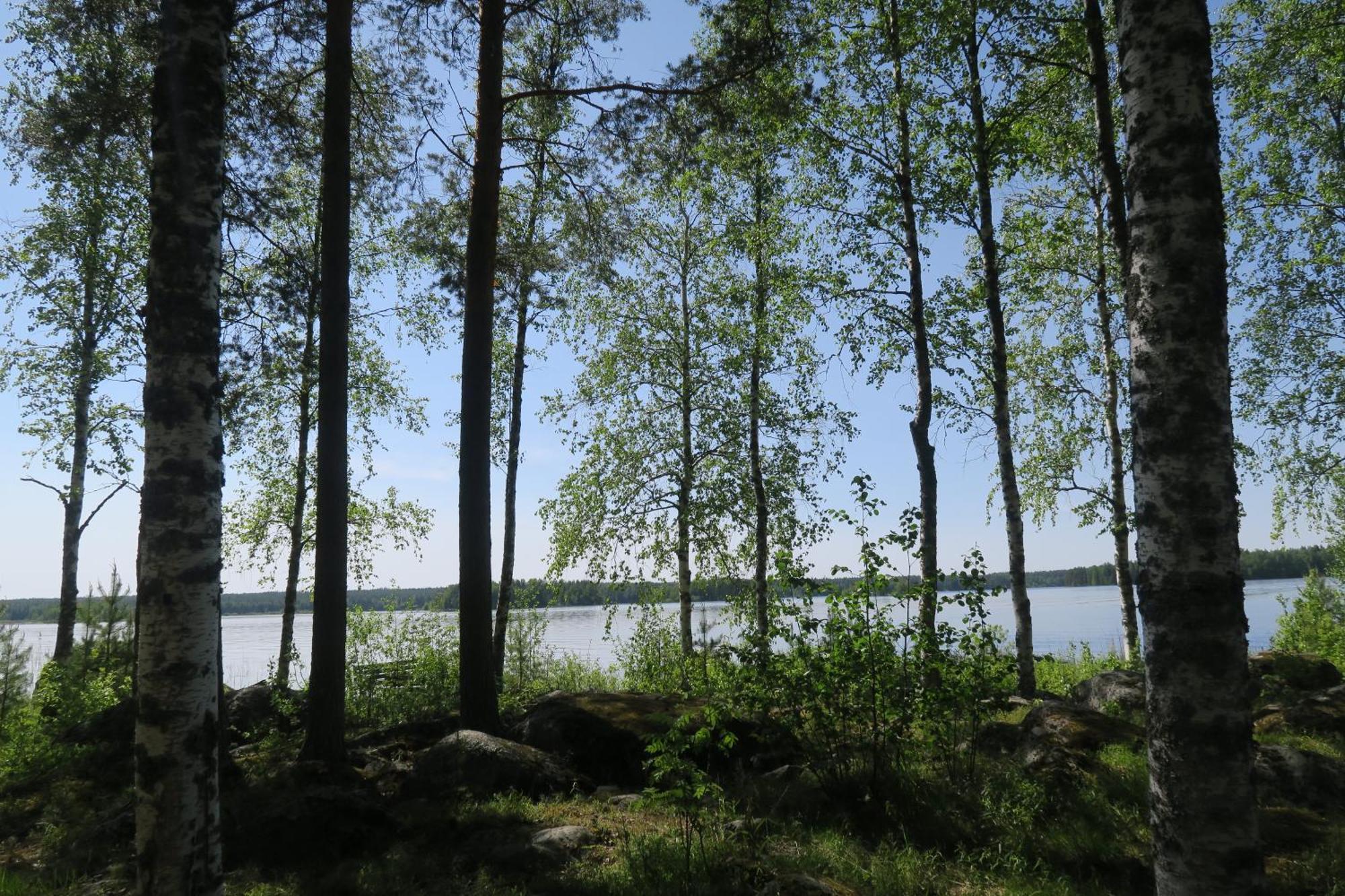 Marjoniemi Camping Hiidenniemi المظهر الخارجي الصورة